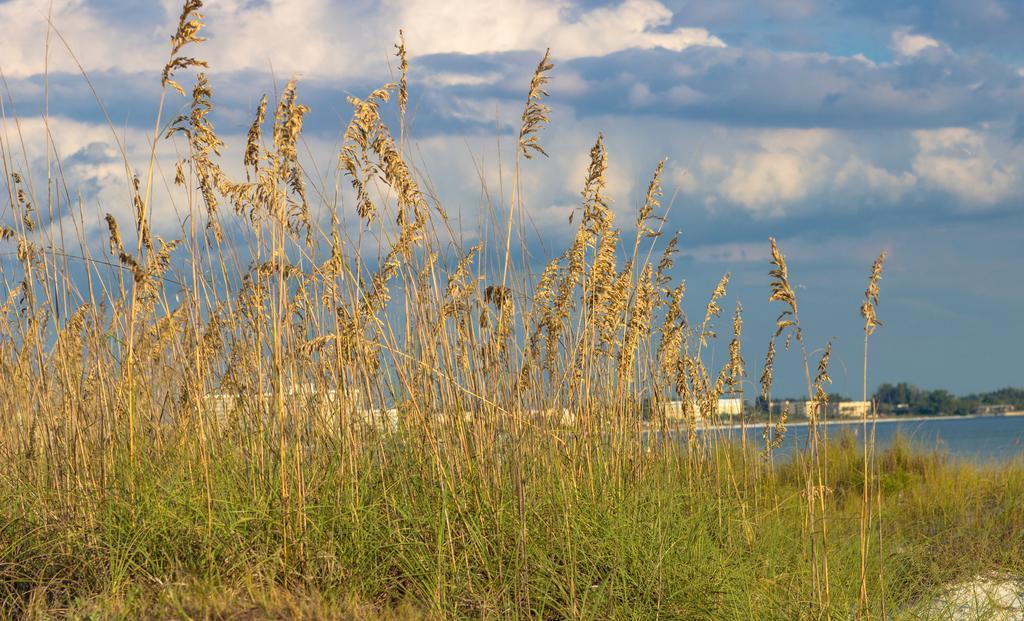 Minorga On The Key By Beachside Management Siesta Key Exterior photo